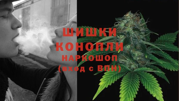 трава Медвежьегорск