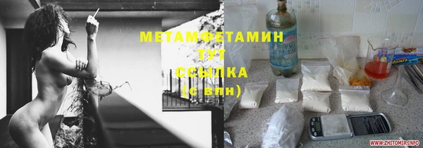 трава Медвежьегорск