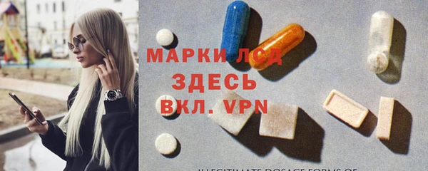 трава Медвежьегорск