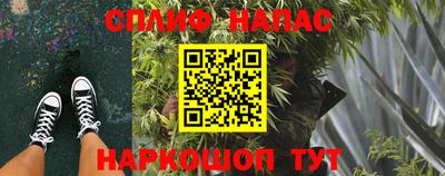 гашик Ирбит