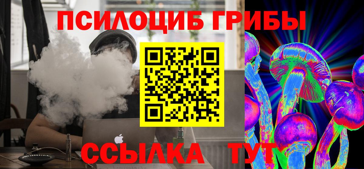Псилоцибиновые грибы мицелий Шахты
