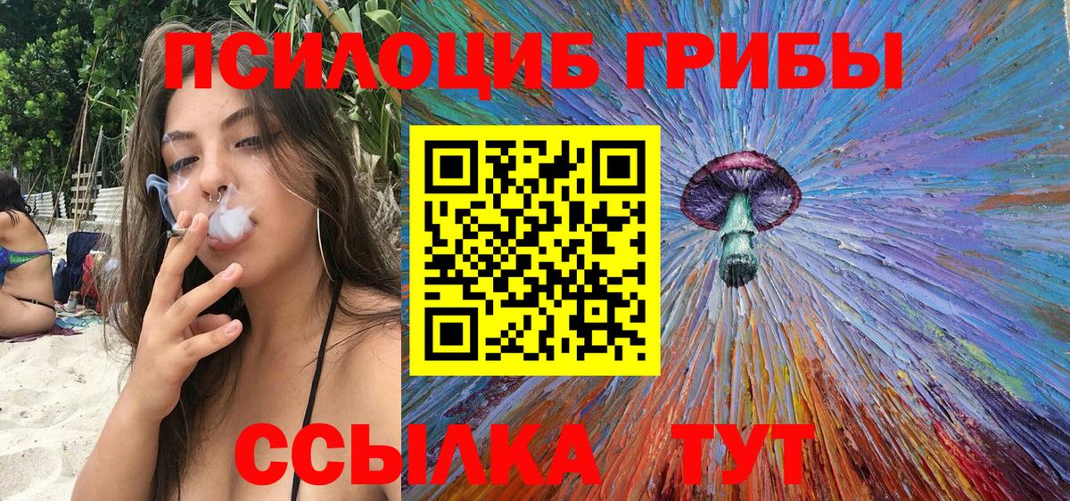 Галлюциногенные грибы GOLDEN TEACHER  Псилоцибиновые грибы Psilocybine cubensis  Шахты  Вход с VPN 