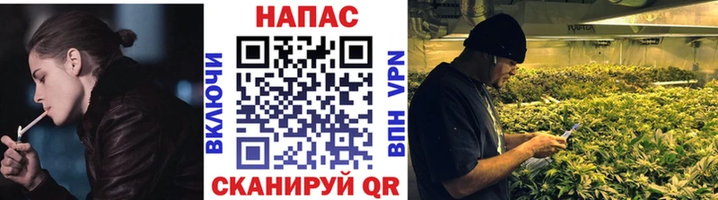 Конопля планчик Шахты